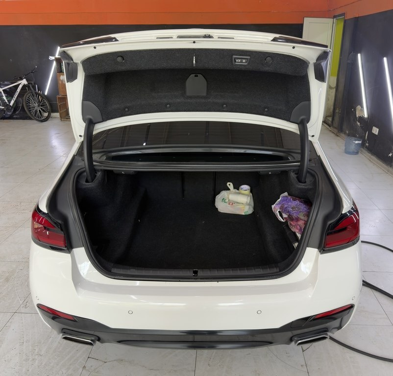 2019 BMW 530, 2.0L, 202000km - Image 10