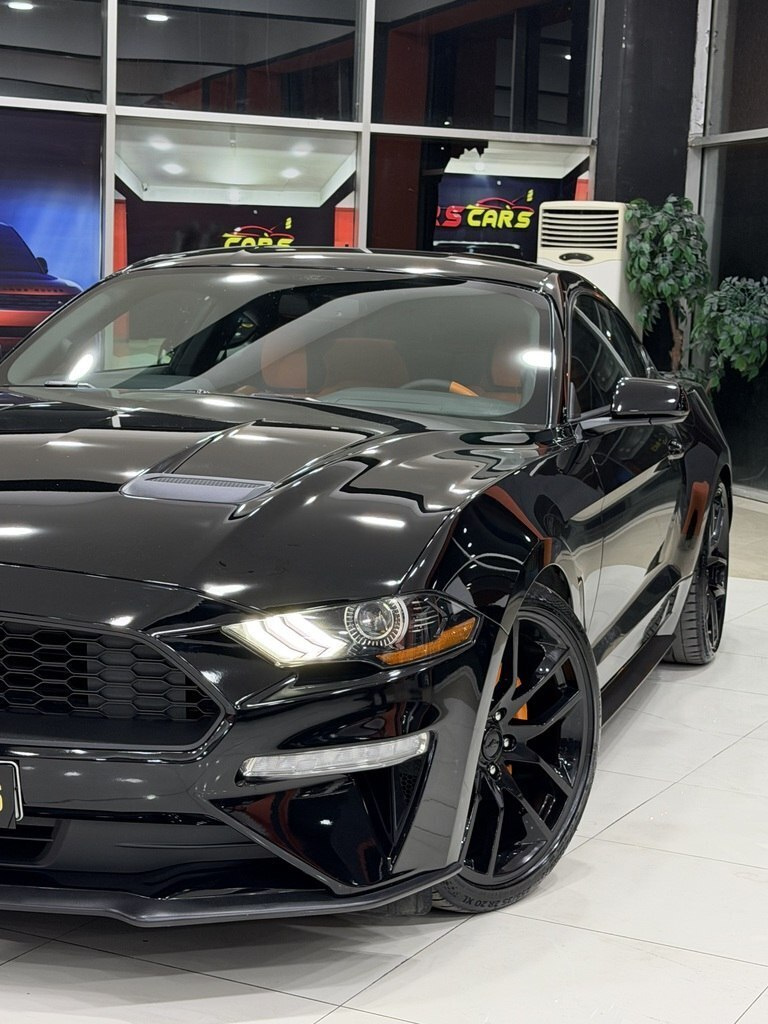 2019 Ford Mustang, 2.3L, 74000km - Image 3
