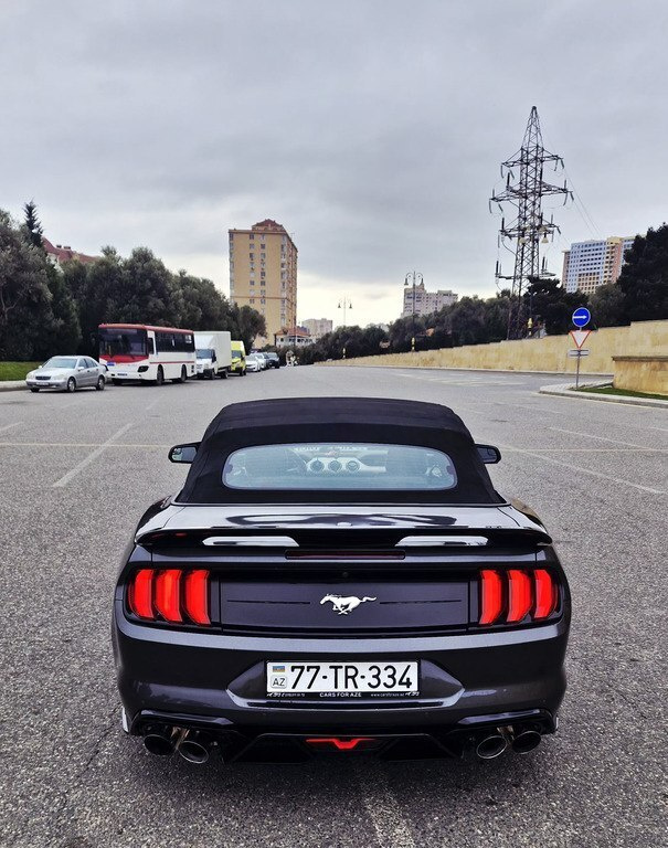 2019 Ford Mustang, 2.3L, 131000km - Image 3