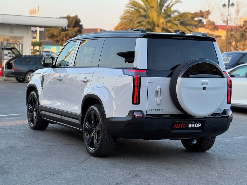 2025 ROX (Polar Stone) 01, 1.5L, 0km - Image 6