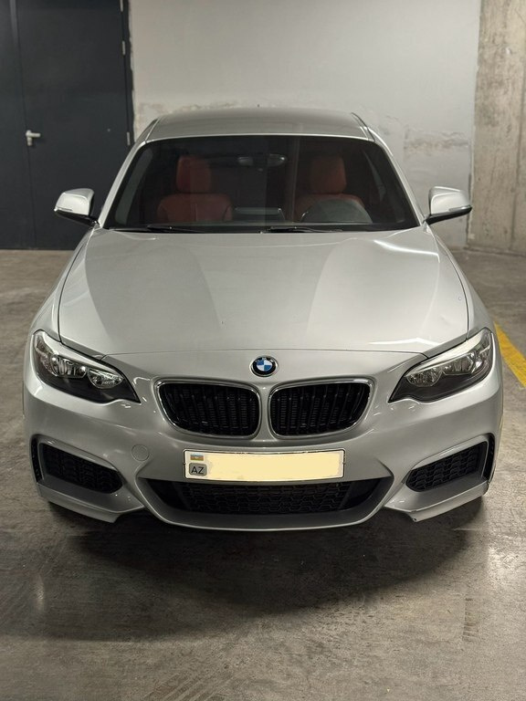 2016 BMW 228, 2.0L, 230000km - Image 1