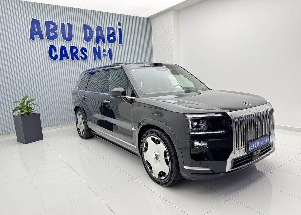 2025 ZEEKR 9X, 2.0L, 5000km - Image 3