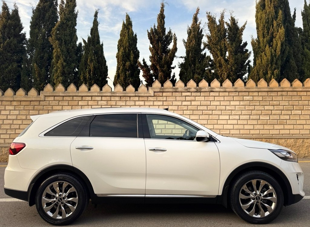 2018 Kia Sorento, 2.0L, 118000km - Image 9